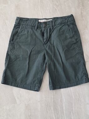 American Eagle Outfitters Dark Green Cotton Flat Front Shorts